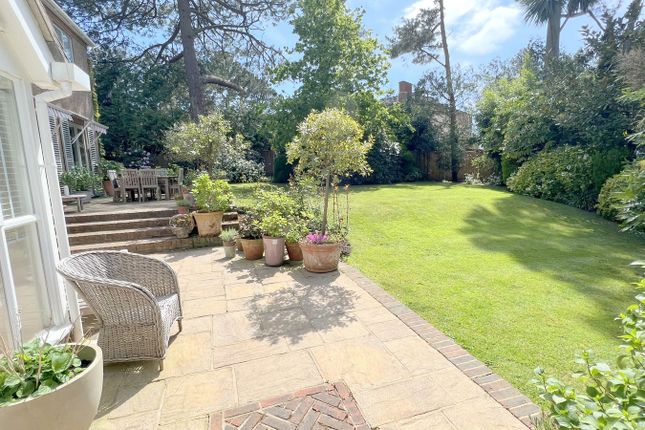 Summer Rear Garden Photo (West)