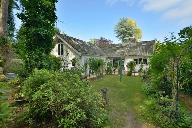 2-bed bungalow on 6, Quarry Close, Colehill, £500,000