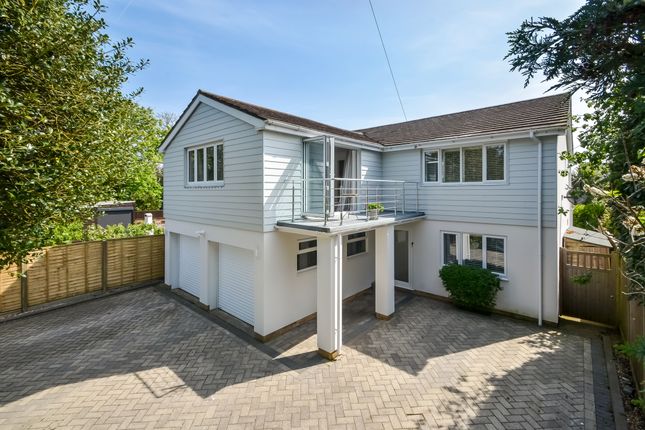 Thumbnail Detached house for sale in Webb Lane, Hayling Island