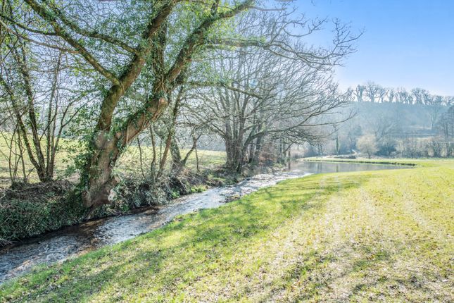 Trout Stream