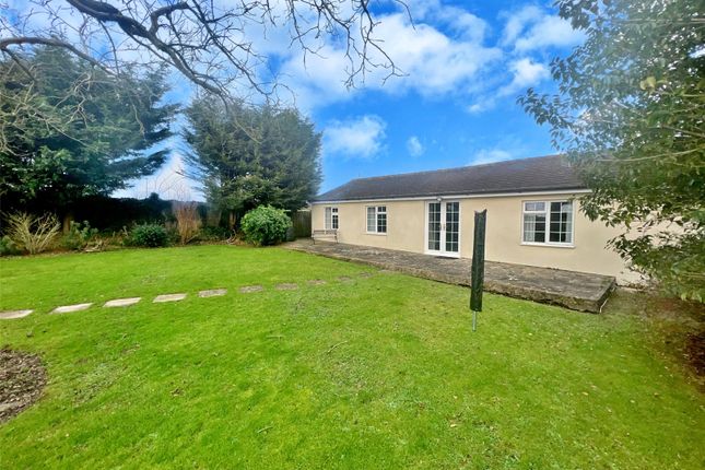 Bungalow to rent in Easthampnett Lane, Easthampnett, Chichester, West Sussex