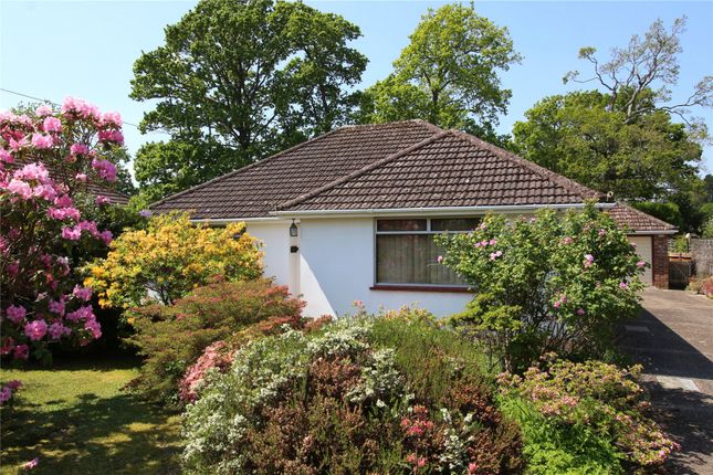 Thumbnail Bungalow for sale in Brook Avenue North, New Milton, Hampshire