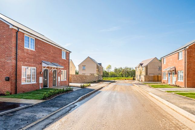 Plot 15, The Barrington, Neroche Meadows, Broadway photo 2