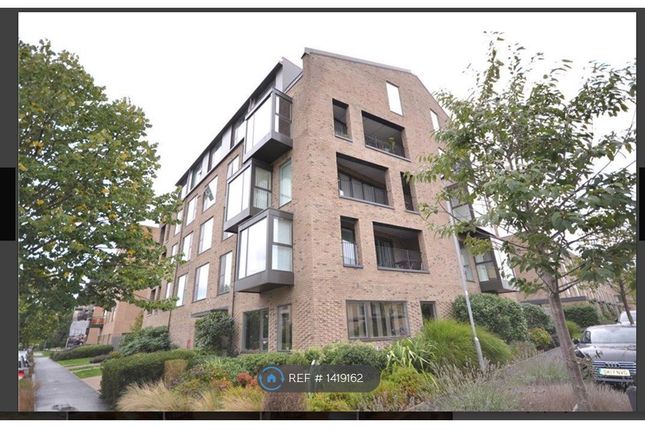 Flat to rent in Lime Avenue, Cambridge