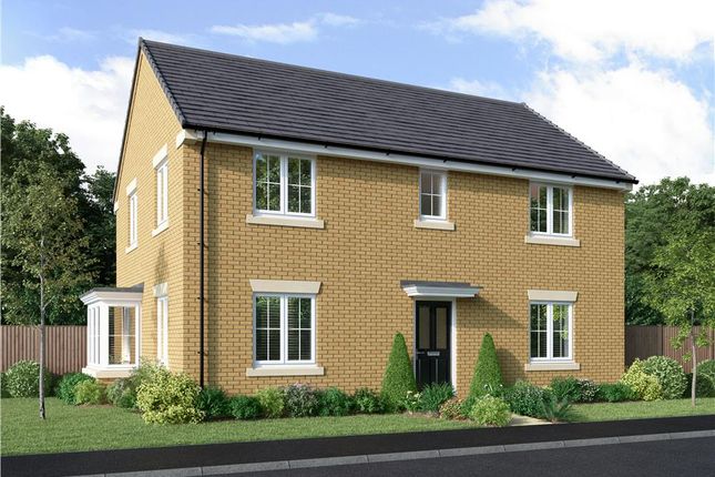 Thumbnail Detached house for sale in "The Baywood" at Flatts Lane, Normanby, Middlesbrough