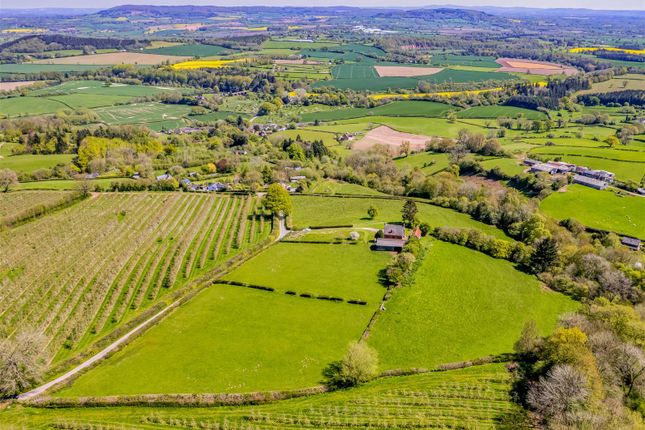 Dolvach Farm, Bredwardine, Hereford photo 2