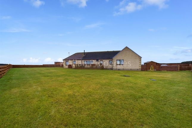 Thumbnail Detached bungalow for sale in Kestrel View Lyth, By Wick, Caithness