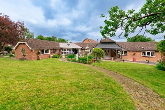 Thumbnail Detached house for sale in Eastbourne Road, Ridgewood, Uckfield
