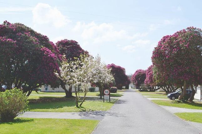 Detached bungalow for sale in Rosecraddoc Bungalow Estate, Liskeard, Cornwall