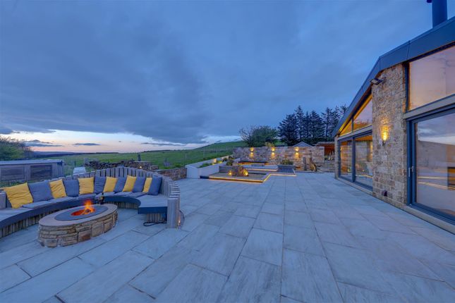 Rear Garden By Night Alt