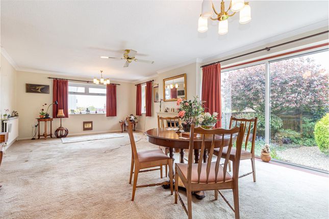 35, Albert Park Road, Malvern photo 4