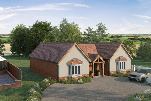 Artistic Impression.Jpg