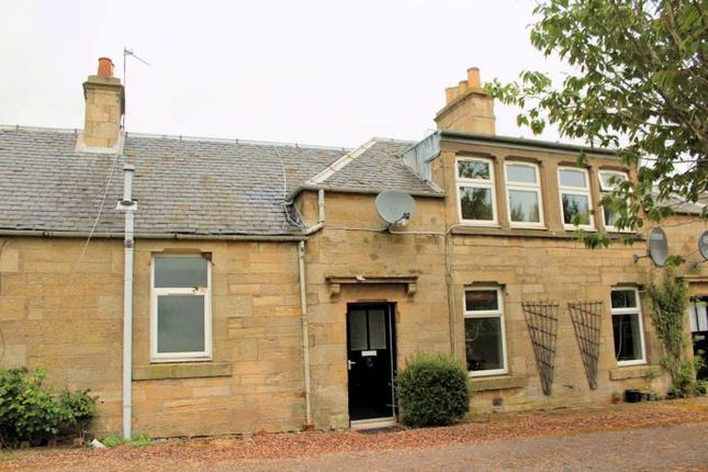 Thumbnail Terraced house to rent in Carslogie Road, Cupar