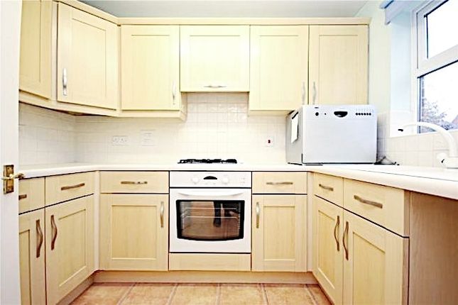 Bright, Modern Kitchen With Light Wood Cabinetry, ...