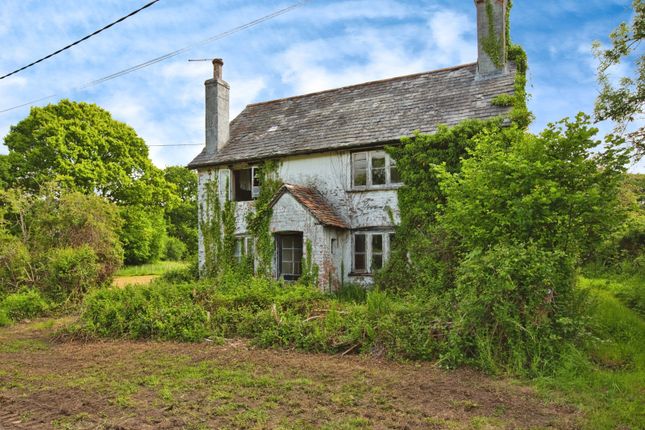 Edge Of Beyond,, Tiley, Dorset photo 3