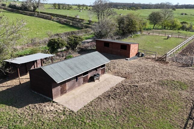 The White House, The White House, Longframlington photo 2