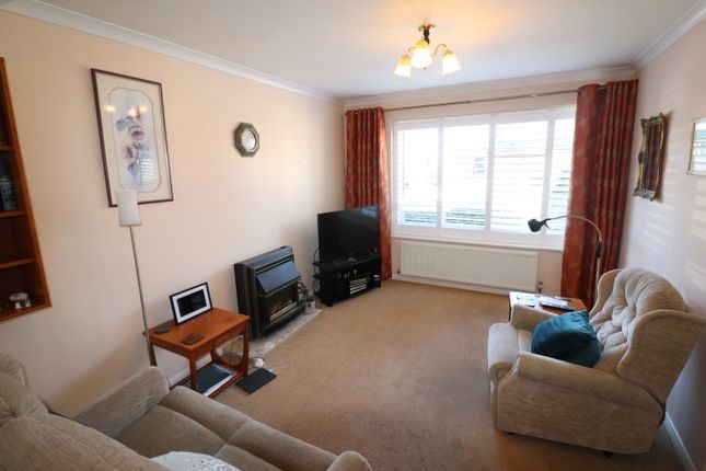 7, Chelmsford photo 3