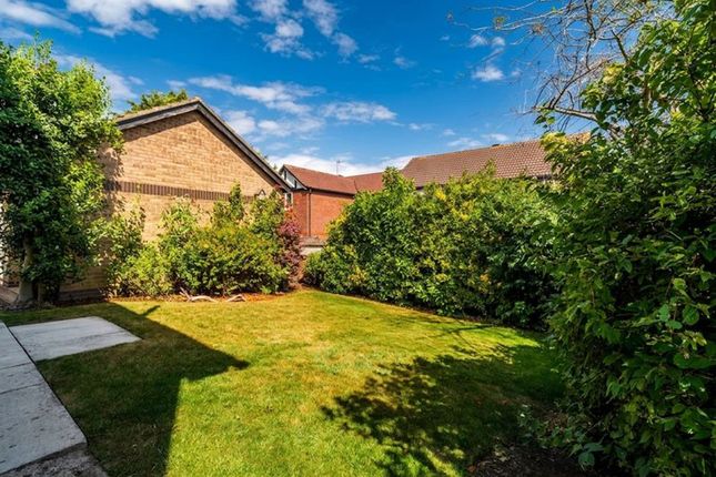 39 Colleridge Grove, Beverley photo 4