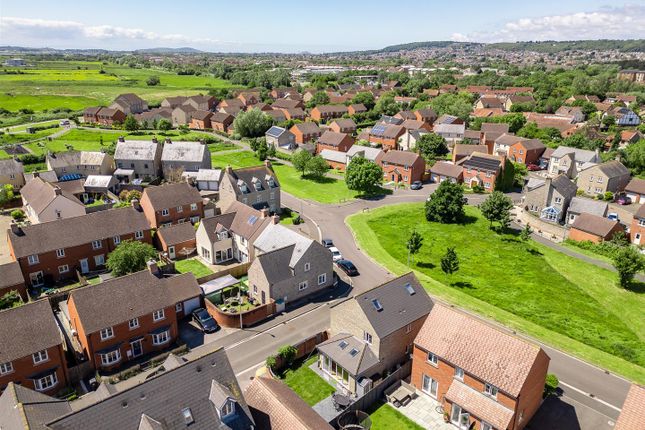 Drone View Of Surrounding Area
