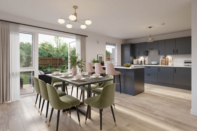 The Elterham - Plot 39, Pentland Gardens, 30 Corby Craig Terrace, Bilston photo 3