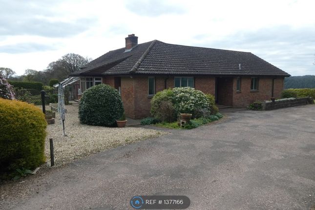 Thumbnail Bungalow to rent in Knapplands, Sidbury, Sidmouth