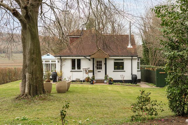 Detached house to rent in Denbies Drive, Dorking
