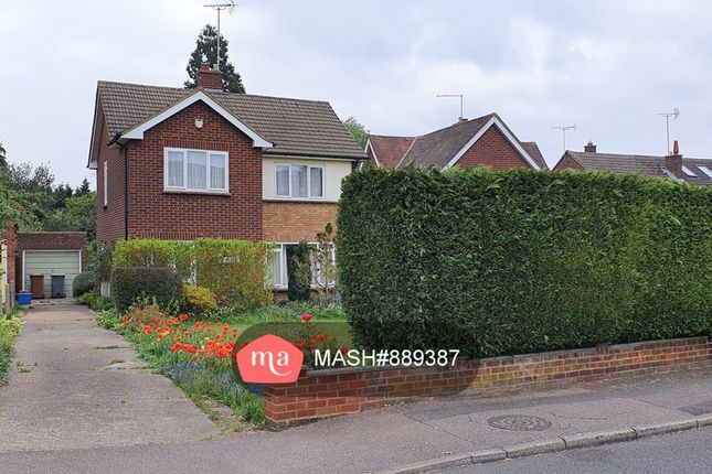 Thumbnail Detached house to rent in Orchard Crescent, Stevenage