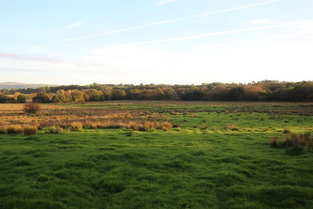 Land At Coedmor Isaf