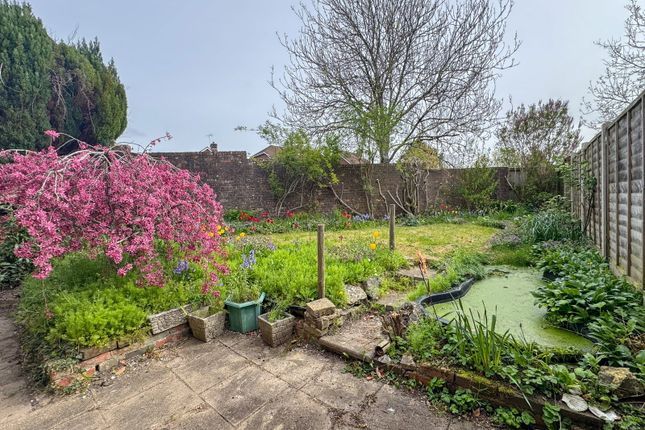 10, Hasted Drive, Alresford photo 3