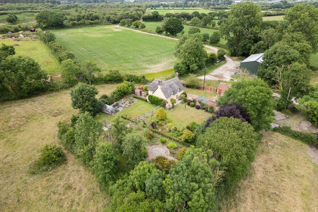 LONGCUTTS, East Knighton, Wareham photo 4