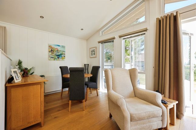 Lodge 8, Saxon Maybank, Sherborne photo 4