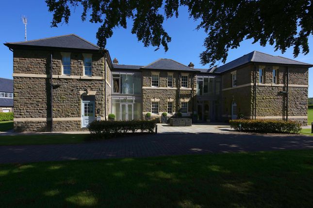 4 Branden House 1219.Jpg
