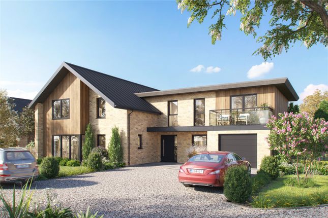 Thumbnail Detached house for sale in Primrose Lane, Swanton Morley, Dereham, Norfolk