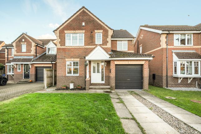 1373104-1-68Ff971...