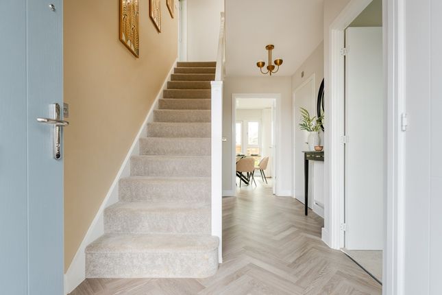The Aireton - Plot 106, Bronze Park, Timbold Drive, Kents Hill, Milton Keynes photo 3
