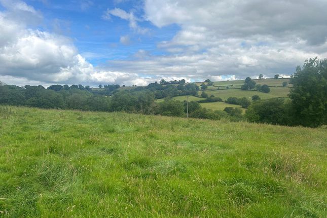 Land in EX14 9NZ