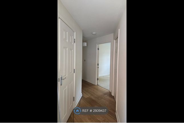 Cirrus Drive, Shinfield, Reading photo 5