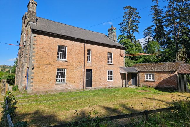West Facing