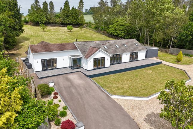 Thumbnail Detached bungalow for sale in Catsash Road, Langstone, Newport