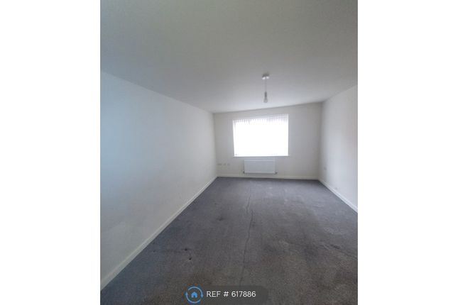 Fairwater Avenue, Birkenhead photo 3
