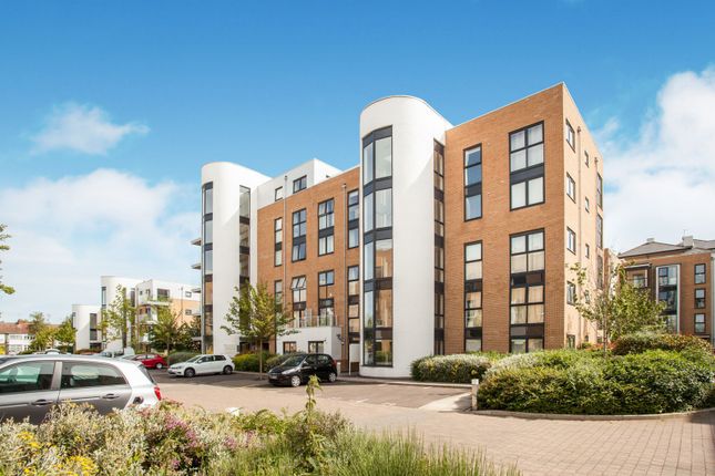 Thumbnail Property to rent in Pym Court, Cromwell Road, Cambridge