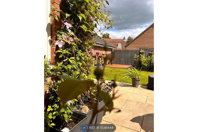 Garden Corner