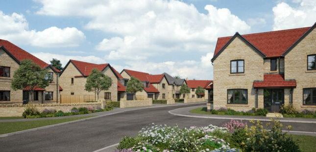 CGI Development Entrance