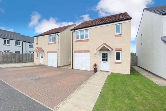 Thumbnail Detached house for sale in Rose Hip Crescent, Larbert