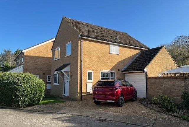 15 Seven Acres 9.Jpg