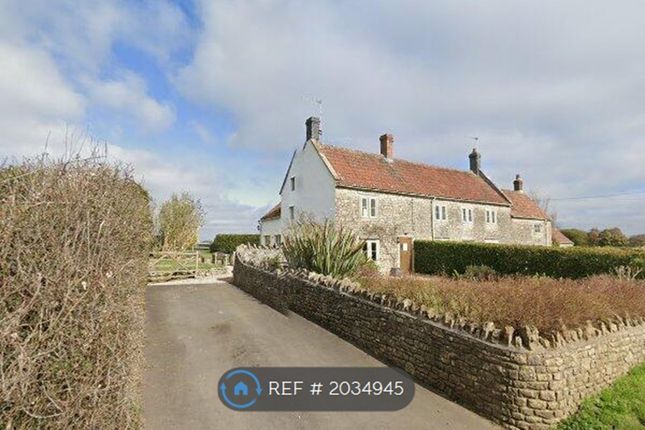 Thumbnail Semi-detached house to rent in School Lane, Kilmersdon, Radstock