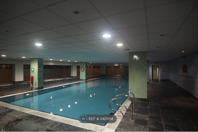 Swimming Pool 2