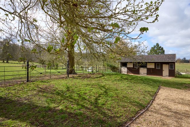 Stables