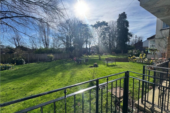 2, Orpington photo 3