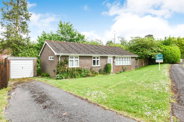 Bungalow for sale in The Spinney, Hook, Hampshire